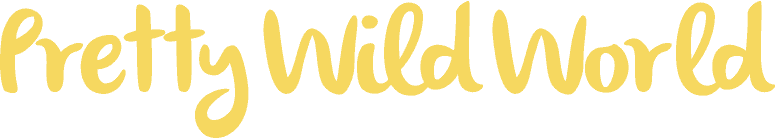 Pretty Wild World